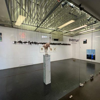 Hubert Hasler - #OVERRUN+